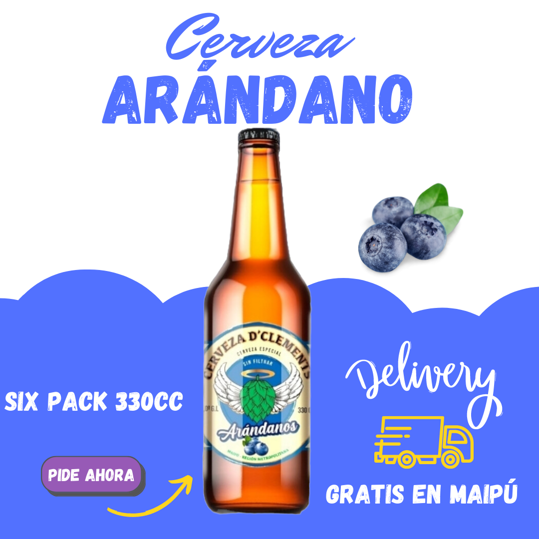 Six Pack Arandano 330cc